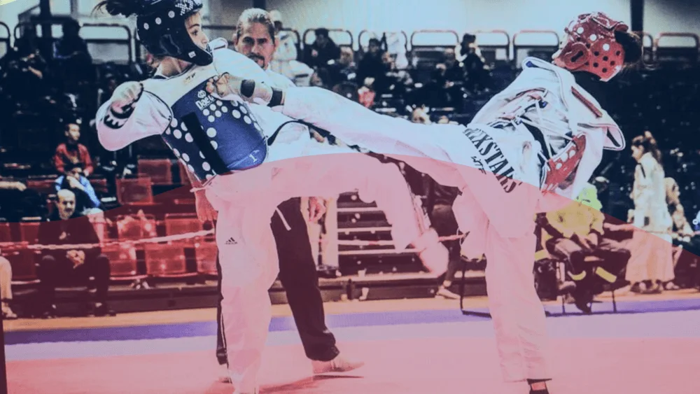 THE TAEKWONDO SCHOOL FOR INTEGRITY & EXCELLENCE